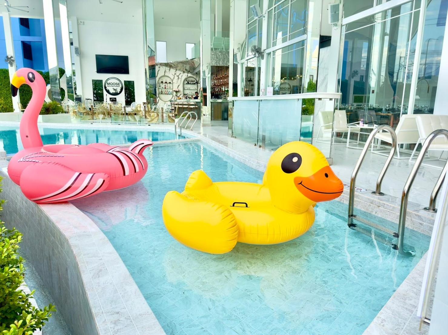 Moose Hotel Chiangmai Chiang Mai Ngoại thất bức ảnh